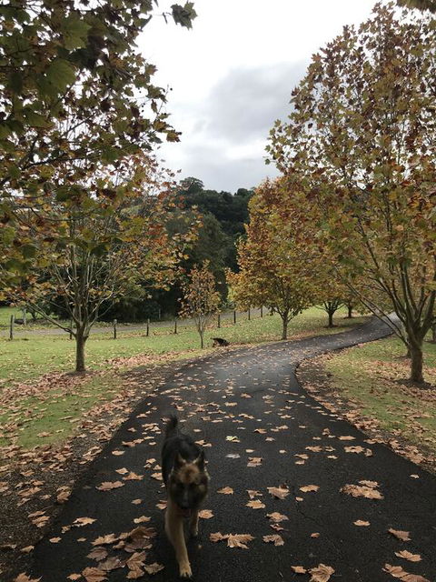 King Ludwigs Cottage - E Caravan Parks 1