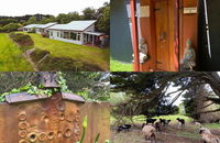 Book Kongwak Accommodation Vacations E Caravan Parks E Caravan Parks