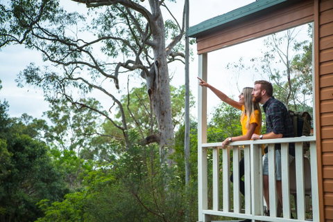 Lane Cove Holiday Park - E Caravan Parks 1