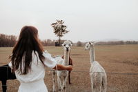 Book Darawank Accommodation Vacations E Caravan Parks E Caravan Parks