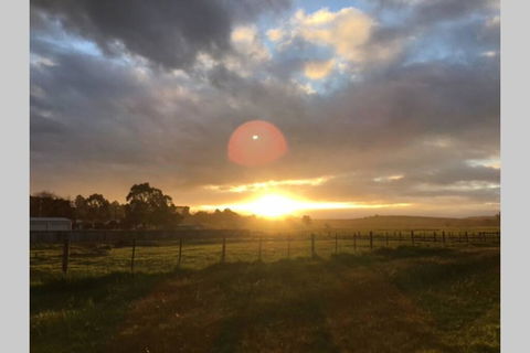 Lucys Artist Cottage - E Caravan Parks 3