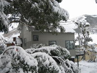 Magpies Nest
