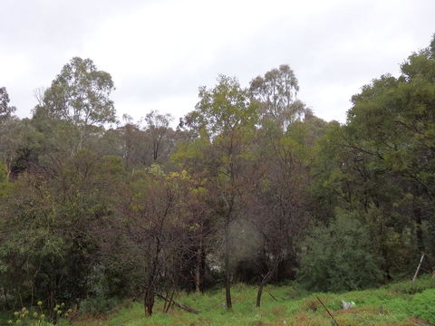 Mandall Avenue - E Caravan Parks 2
