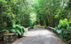 Mango Hill Farm - thumb 1