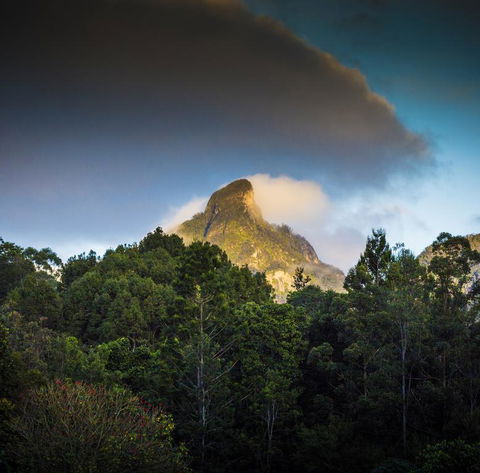 Mavis's Cabins @ Mt Warning - E Caravan Parks 1