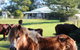 Montville House On The Hill - thumb 2