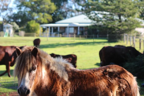 Montville House On The Hill - E Caravan Parks 2