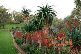 Dunes Scarborough Beach - E Caravan Parks 34