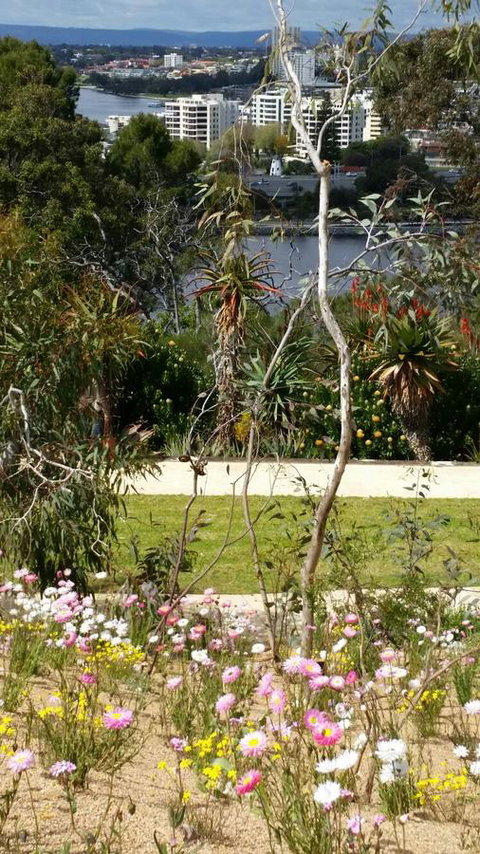 Dunes Scarborough Beach - E Caravan Parks 43