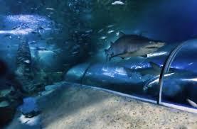 Dunes Scarborough Beach - E Caravan Parks 29