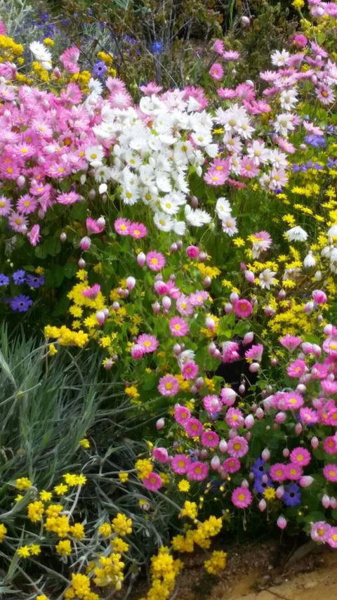 Dunes Scarborough Beach - E Caravan Parks 44
