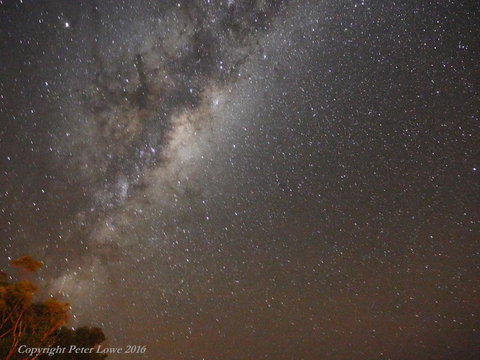 Riverside Retreat Chalets, Walpole - E Caravan Parks 26
