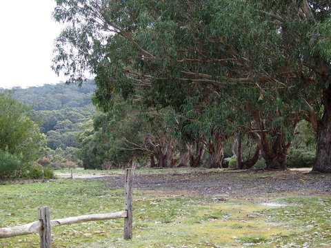 Riverside Retreat Chalets, Walpole - E Caravan Parks 17