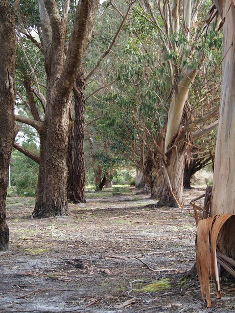 Riverside Retreat Chalets, Walpole - E Caravan Parks 16