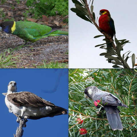 Riverside Retreat Chalets, Walpole - E Caravan Parks 24