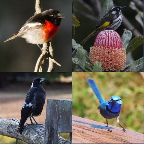 Riverside Retreat Chalets, Walpole - E Caravan Parks 23