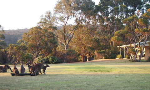 Riverside Retreat Chalets, Walpole - E Caravan Parks 0