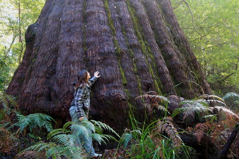 Bayside Villas - E Caravan Parks 4