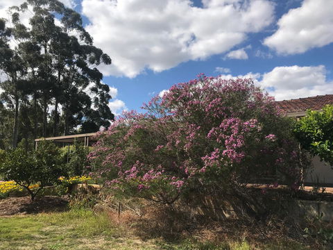Cockburn Retreat Home æŸæ–¯æ‚ é–’æ°‘å®¿ - E Caravan Parks 0