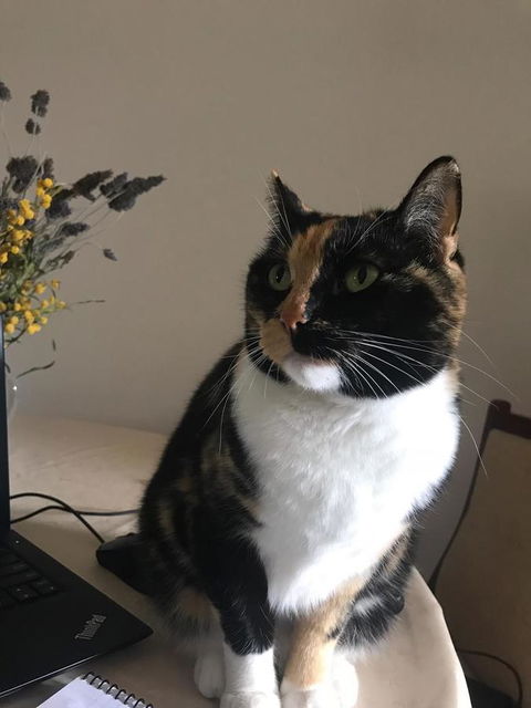 Cockburn Retreat Home æŸæ–¯æ‚ é–’æ°‘å®¿ - E Caravan Parks 29