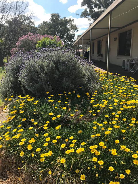 Cockburn Retreat Home æŸæ–¯æ‚ é–’æ°‘å®¿ - E Caravan Parks 3