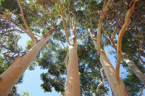 Cockburn Retreat Home æŸæ–¯æ‚ é–’æ°‘å®¿ - E Caravan Parks 19