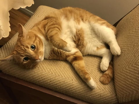 Cockburn Retreat Home æŸæ–¯æ‚ é–’æ°‘å®¿ - E Caravan Parks 28