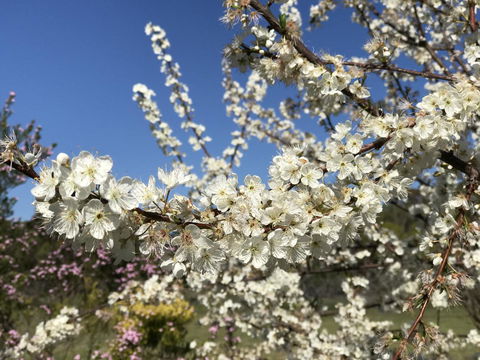 Cockburn Retreat Home æŸæ–¯æ‚ é–’æ°‘å®¿ - E Caravan Parks 27