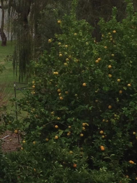 Bright & Beautiful Home On The Hills! - E Caravan Parks 34