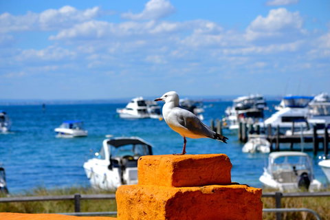 Palms Bed & Breakfast - E Caravan Parks 25