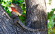 Habitat Resort - thumb 40
