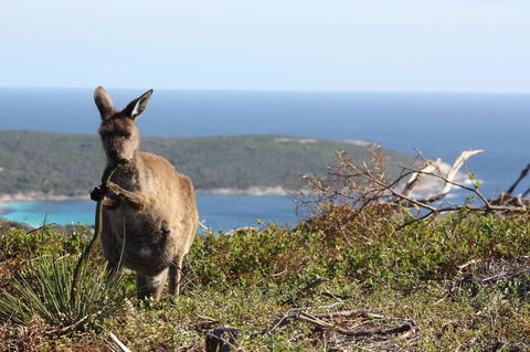 Bremer Bay B&B - E Caravan Parks 30
