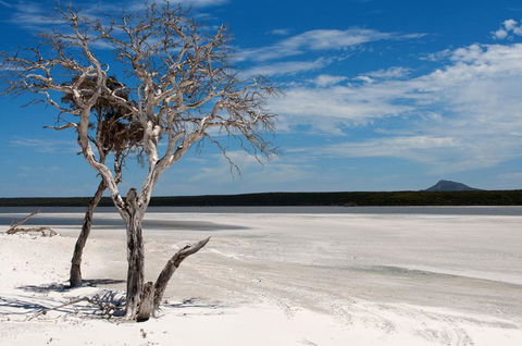 Bremer Bay B&B - E Caravan Parks 33