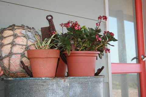 Bremer Bay B&B - E Caravan Parks 28