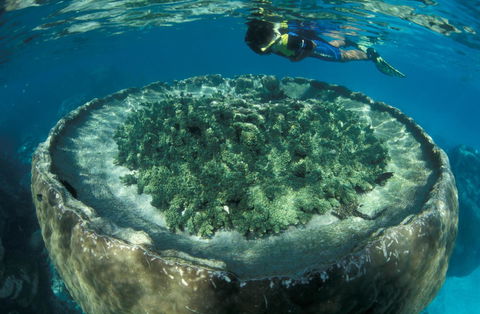 Sal Salis Ningaloo Reef - E Caravan Parks 8