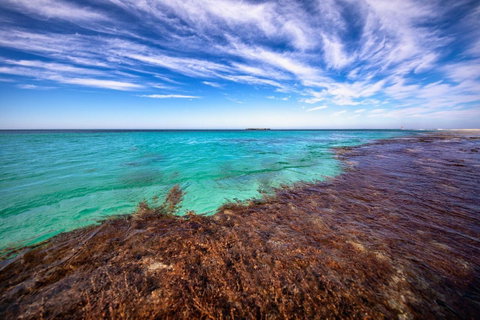 Discovery Resorts - Rottnest Island - E Caravan Parks 24