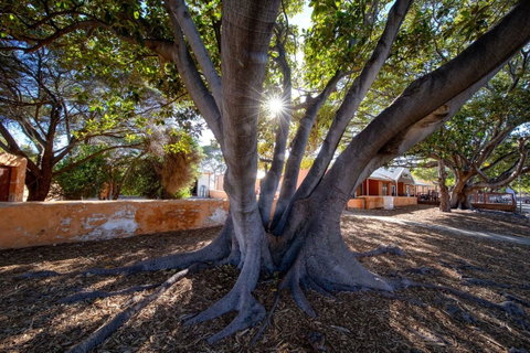 Discovery Resorts - Rottnest Island - E Caravan Parks 23
