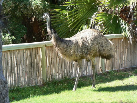 Wildsights Villas - E Caravan Parks 29