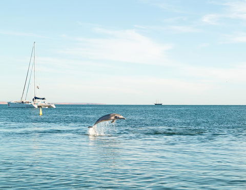 Wildsights Villas - E Caravan Parks 11