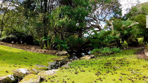 43 Degrees Bruny Island - E Caravan Parks 8
