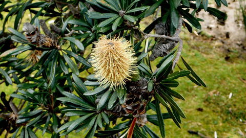 43 Degrees Bruny Island - E Caravan Parks 11