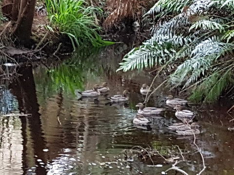 Strahan Retreat Holiday Park - E Caravan Parks 24