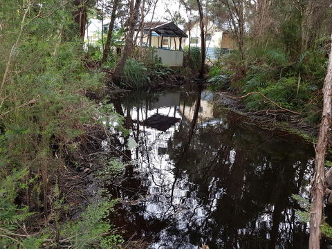 Strahan Retreat Holiday Park - E Caravan Parks 33