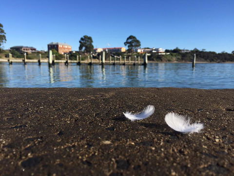 Swansea Holiday Park Tasmania - E Caravan Parks 39