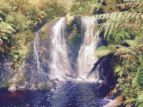 Wandering Geese Boutique Bed And Breakfast - E Caravan Parks 29