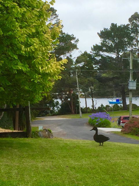 Wandering Geese Boutique Bed And Breakfast - E Caravan Parks 15