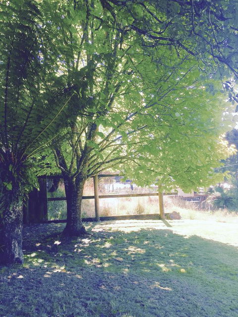 Wandering Geese Boutique Bed And Breakfast - E Caravan Parks 30