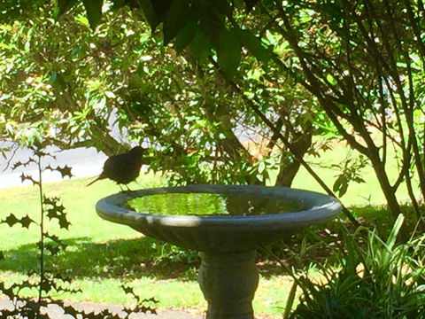 Wandering Geese Boutique Bed And Breakfast - E Caravan Parks 19