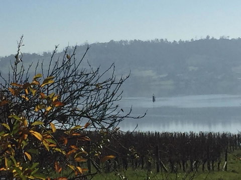 Amble\'a\'While On Tamar - E Caravan Parks 23