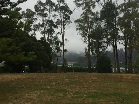 Amble\'a\'While On Tamar - E Caravan Parks 39